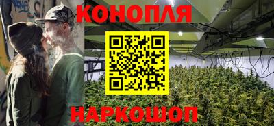 индика Донецк