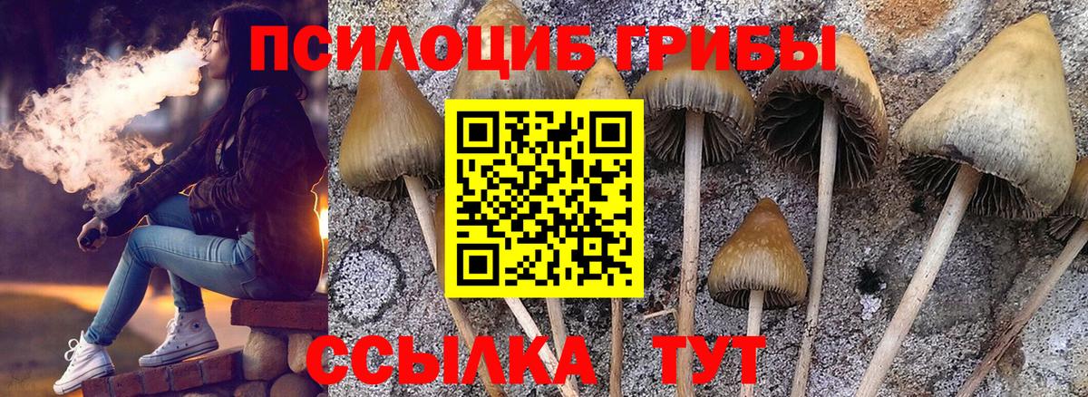 Псилоцибиновые грибы мухоморы Миллерово