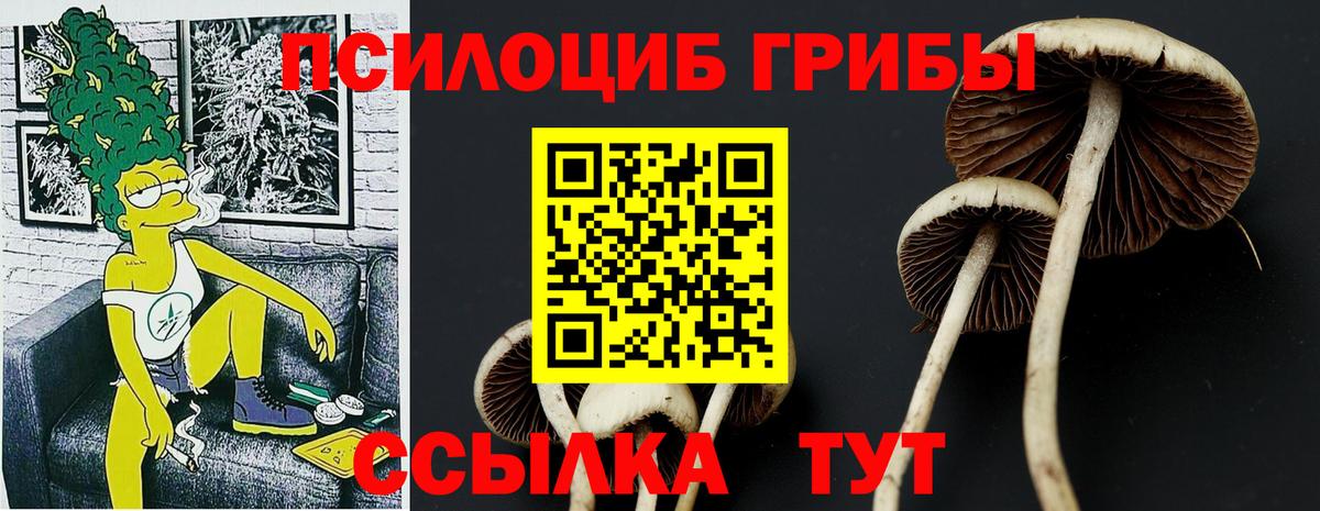 Псилоцибиновые грибы прущие грибы  Вход с VPN  Галлюциногенные грибы Psilocybe  Миллерово 